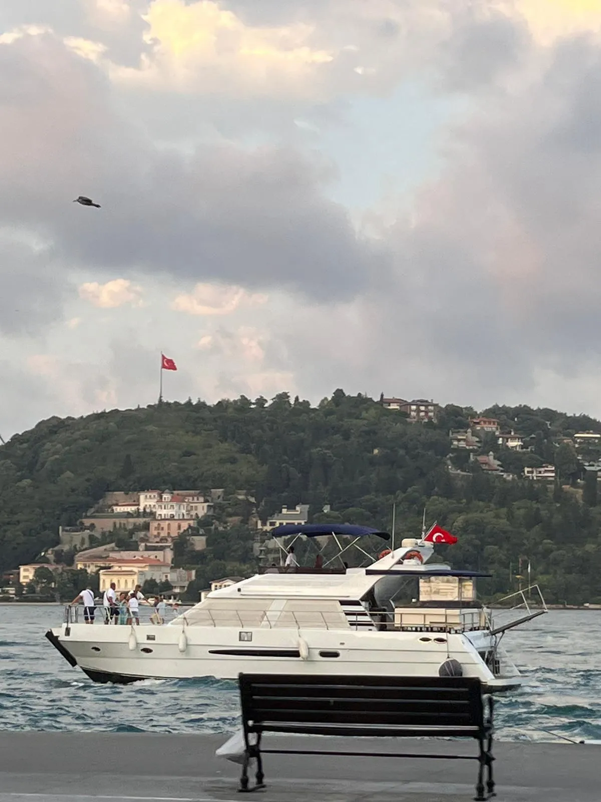 1999 Model Özel Yapım - Motoryat · 12 Kişilik · #481671