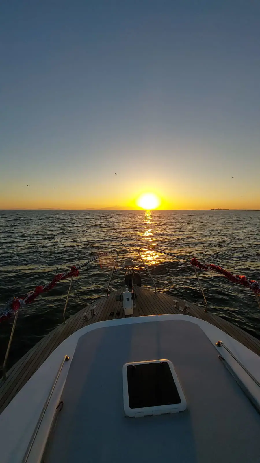 2022 Model Özel Yapım - Motoryat · 10 Kişilik · #236899