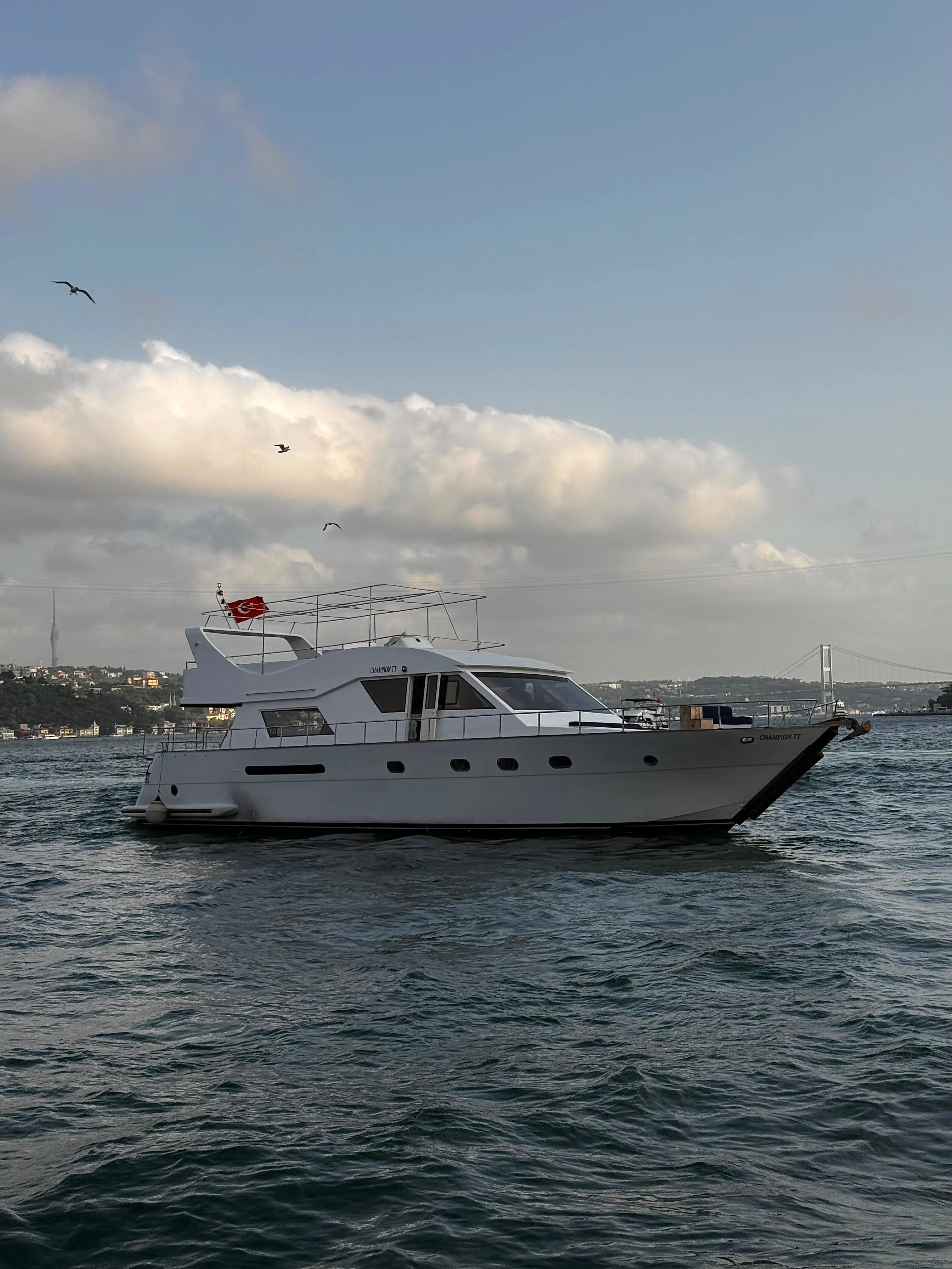 Özel Yapım - Motoryat