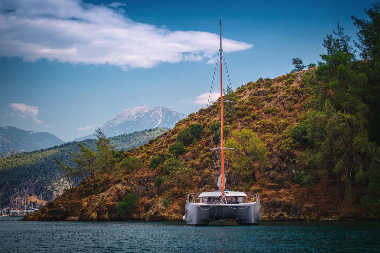 2021 Model Excess - 11 · 10 Guest · #846542