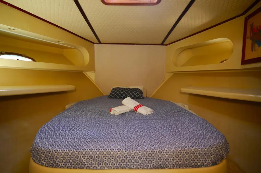 1999 Model Özel Yapım - Motoryat · 12 Kişilik · #481671