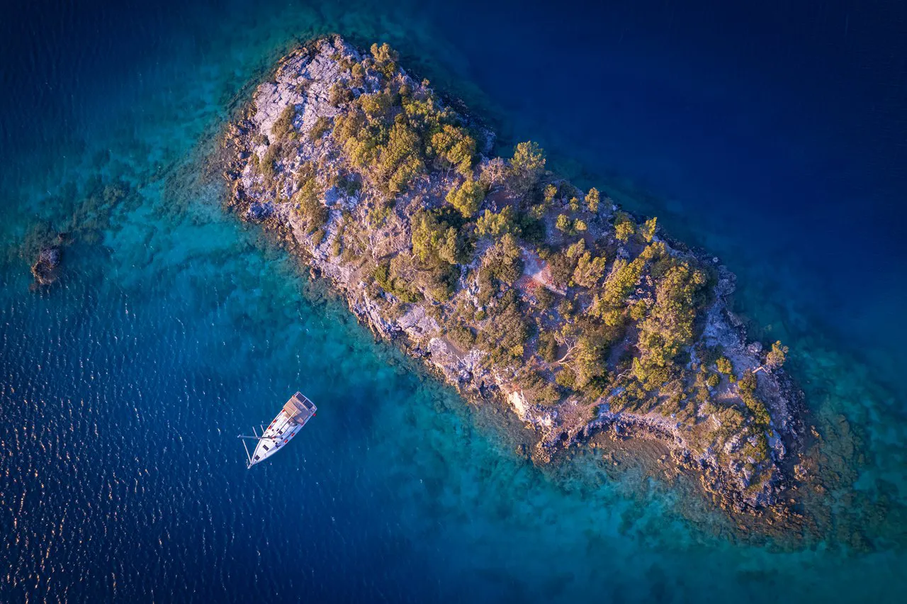 2022 Model Jeanneau - Sun Odyssey 490 · 11 Kişilik · #753054