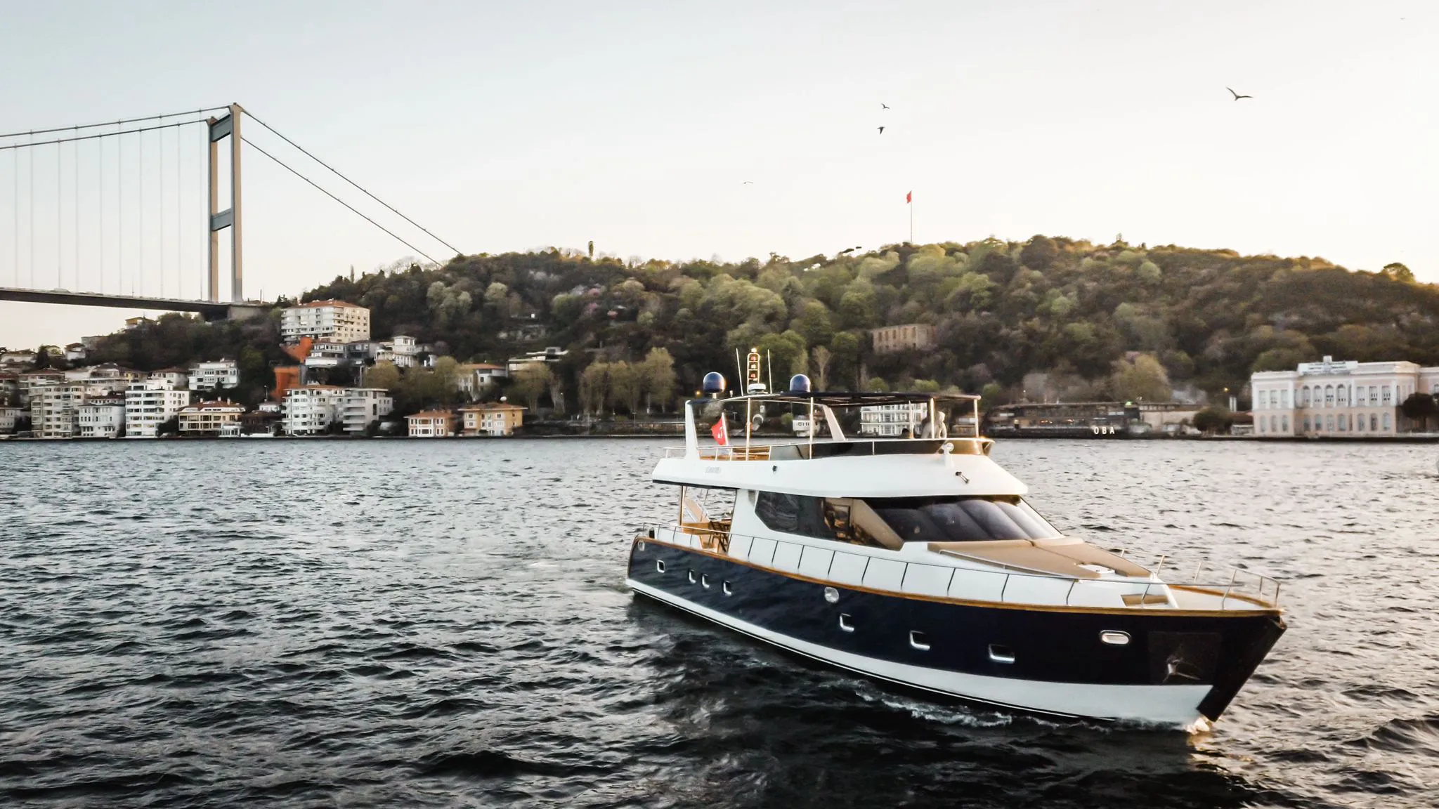 2019 Model Custom Made - Motor Yacht · 36 Guest · #239102